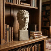 Statue of a classical head on a wooden shelf with books in a library setting
