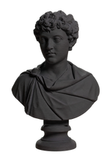 Portrait of Marcus Aurelius as a young man