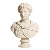 Portrait of Marcus Aurelius as a young man
