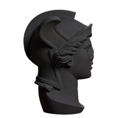 Head