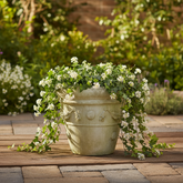 Decorative stone planter with white flowers on a wooden patio