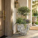 Decorative planter with greenery in front of a wooden door on a patio Elegant Cherub Bell Pot — Planter