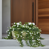 Floral arrangement in a pot on a step with a wooden door in the background