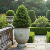 Giant French Anduze Garden Display