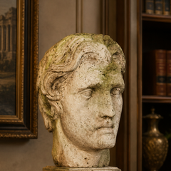 A classical-style stone bust sculpture of a man's head on a pedestal, displayed on an ornate wooden table in a vintage, elegant room with a lamp, books, and a bookshelf in the background.