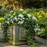 Carlo Square Pot 12 Garden Planter