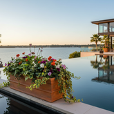Elegant outdoor setting with a pool, flowers, and a modern house by the water.