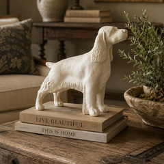 Dog statue on a stack of books with decorative elements in a home setting