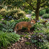 Fox figurine in a garden setting with plants and trees