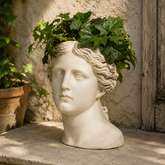 Marble bust of a classical figure with ivy on a stone surface