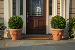 Fruit Planter Large Garden Planter