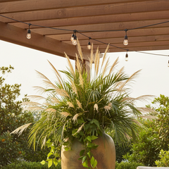 Outdoor patio with furniture, plants, and a large vase.