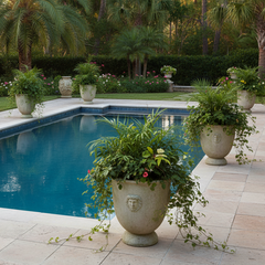 Giant French Anduze Garden Planter Display