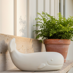 Front porch with wooden bench, potted plants, and a wooden door.