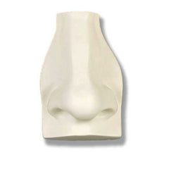 David'S Nose - Apendages Drawing Casts - XoticBrands Home Decor