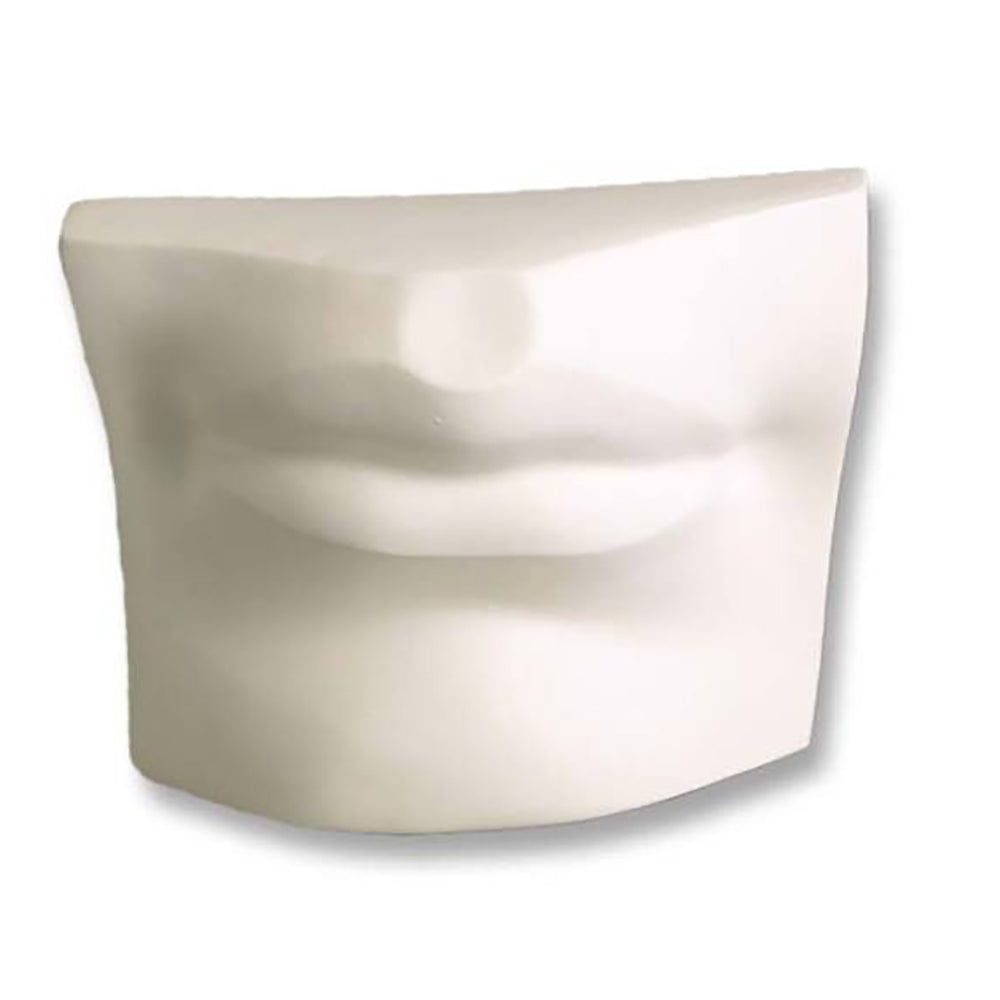 David'S Mouth - Apendages Drawing Casts - XoticBrands Home Decor