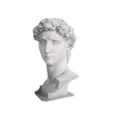 Head Of David From Orig-48 - Busts Greek & Roman - XoticBrands Home Decor