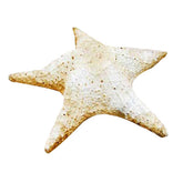 Starfish Pacific 11 Garden Animal Statue - XoticBrands Home Decor