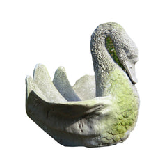 Swans Shell Garden Display - XoticBrands Home Decor
