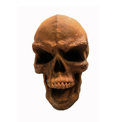 Angry Skull Mask - Drawing Casts - XoticBrands Home Decor