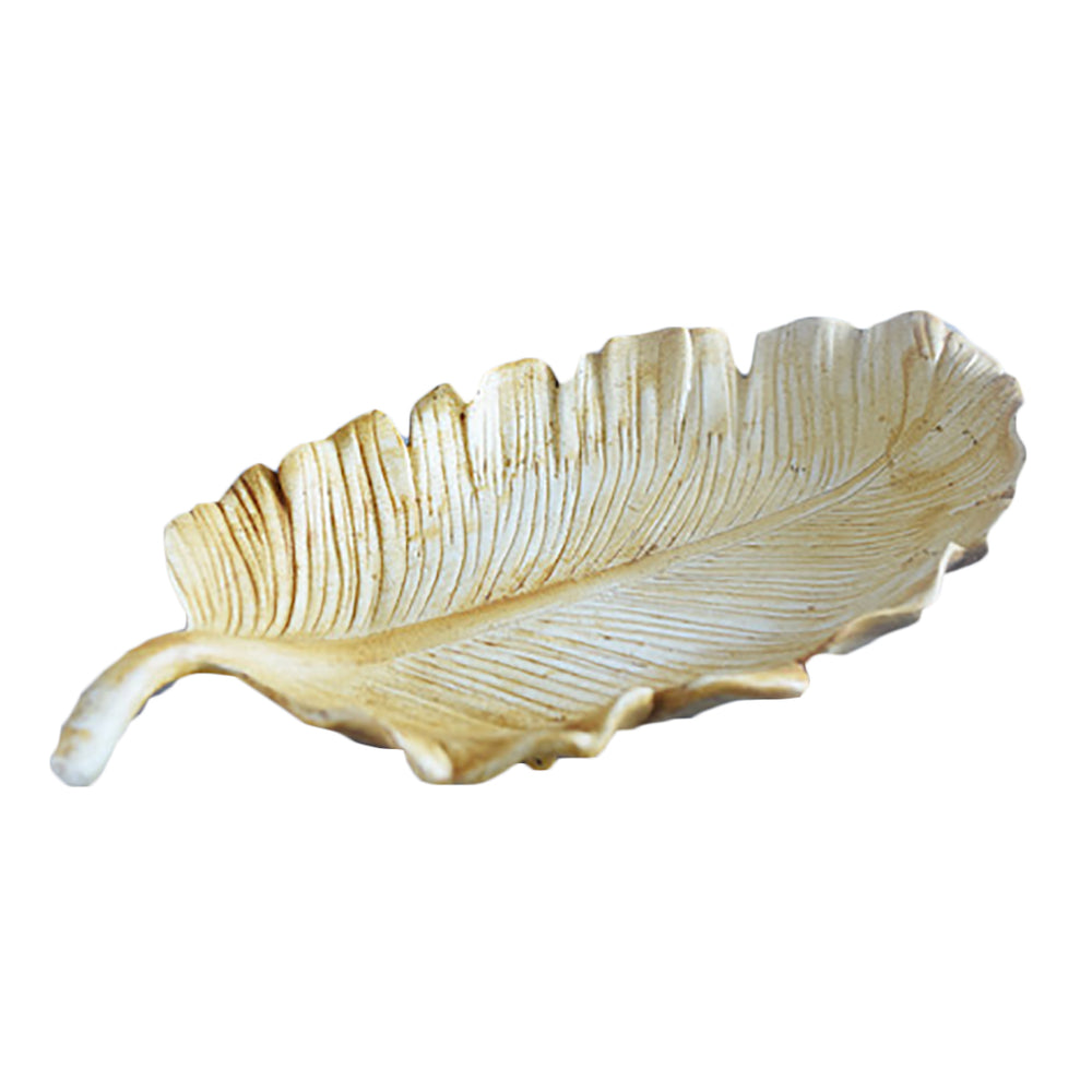 Desert Leaf Plate Garden Display - XoticBrands Home Decor