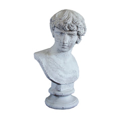 Antinous 26 (From Stefano) - Greek & Roman Busts - XoticBrands Home Decor