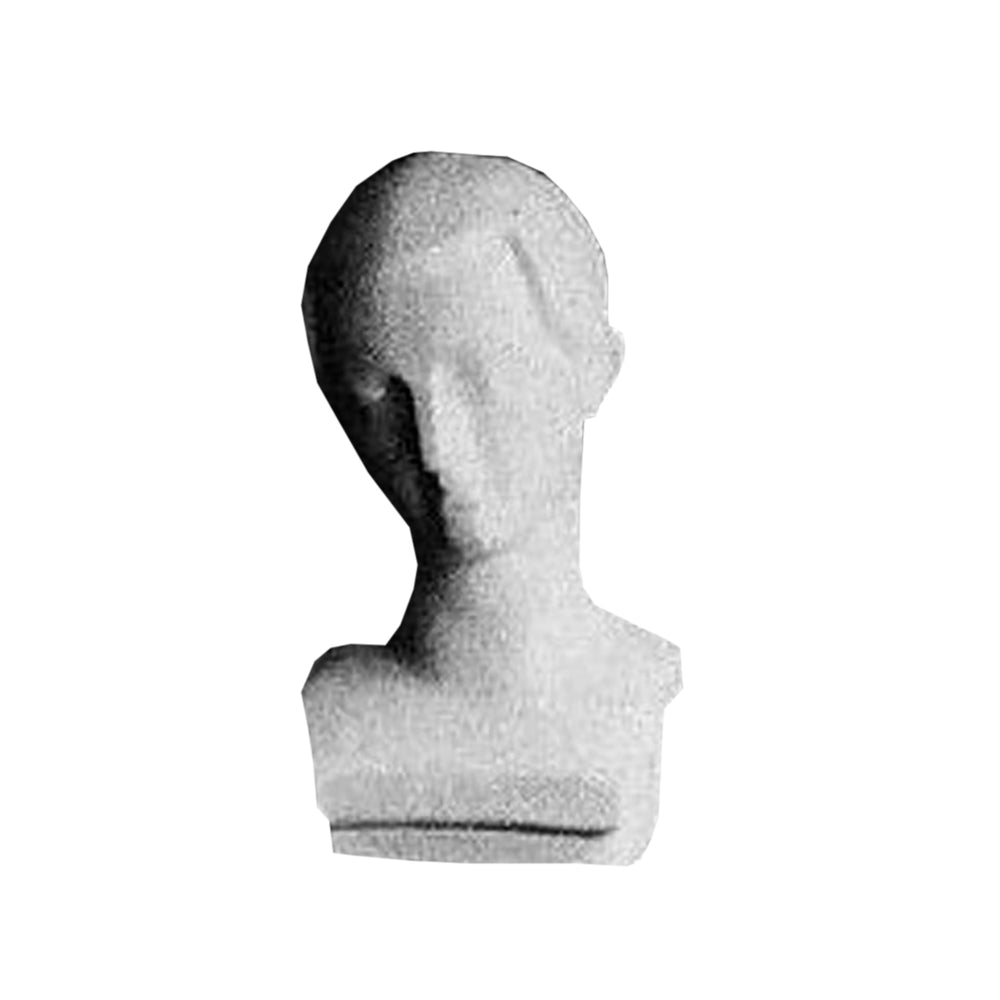 Blocked Head Ckd - Other Busts Busts - XoticBrands Home Decor