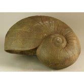 Snail Shell 28 Animal Sculpture, Home Decor, XoticBrands, XoticBrands Home Decor