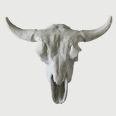 Cow Skull Sculpture - Animals, Animals, XoticBrands, XoticBrands Home Decor