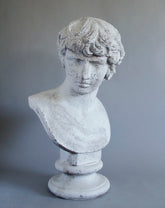 Antinous 26 (From Stefano) Sculpture - Busts, Busts, XoticBrands, XoticBrands Home Decor
