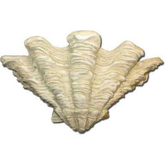 Shell Sconce 9 Garden Animal Statue - XoticBrands Home Decor