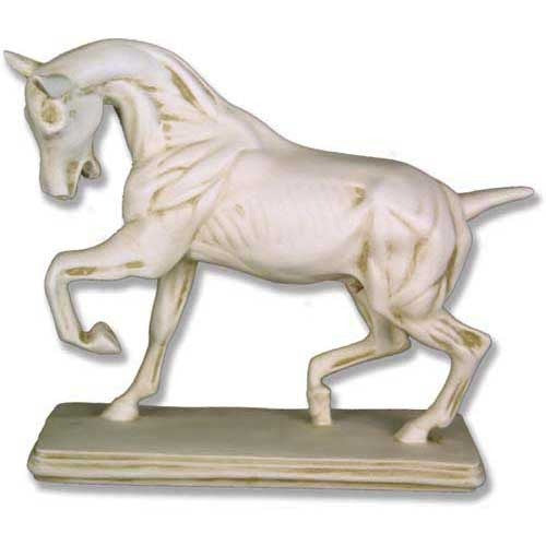 Anatomy Of Horse - Anatomies Drawing Casts - XoticBrands Home Decor