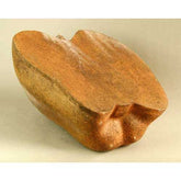 Half Apple 22 - Display Display - XoticBrands Home Decor