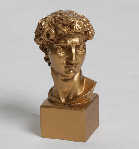 See Ak21 David Bust On Block 8 - Greek & Roman Busts, Busts, XoticBrands Home Decor