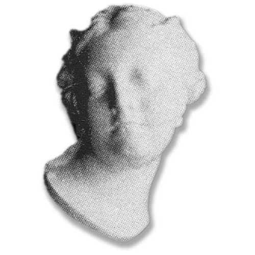Smiling Venus - Masks Drawing Casts - XoticBrands Home Decor