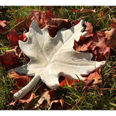 Maple Leaf 14 Display Sculpture, Home Decor, XoticBrands, XoticBrands Home Decor
