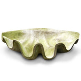 Giant Clam 48X30X12 Prop Sculpture - Animals, Animals, XoticBrands, XoticBrands Home Decor
