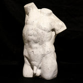 Male Twisted Torso 25 Animal Classical Sculpture, Home Decor, XoticBrands, XoticBrands Home Decor