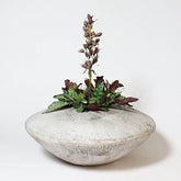 Blane Pot Animal Planters Sculpture, Home Decor, XoticBrands, XoticBrands Home Decor