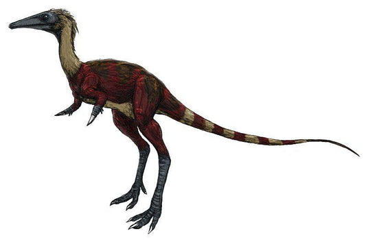 5 Amazing Dinosaur Discoveries in Asia You Should Know About - XoticBrands Home Decor