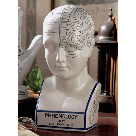 10 Fascinating Facts About The Human Brain - XoticBrands Home Decor