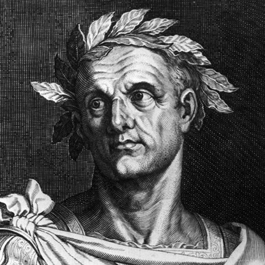 3 Awesome Top Secrets On Leadership from Julius Caesar - XoticBrands Home Decor