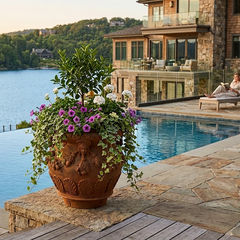Potted plant by a pool with a house and lake in the background