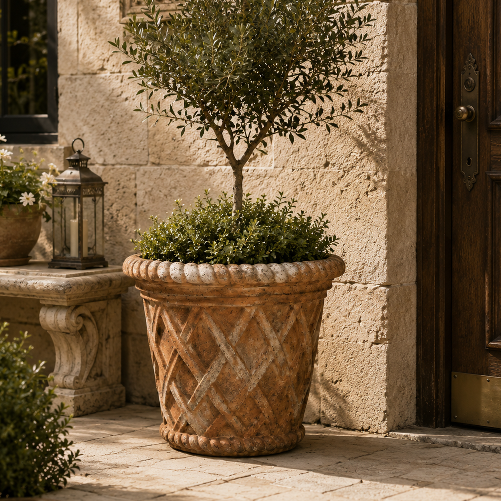 A potted olive tree and shrubs displayed in a large textured terracotta planter on a stone patio in front of a rustic stone building.