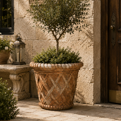 A potted olive tree and shrubs displayed in a large textured terracotta planter on a stone patio in front of a rustic stone building.