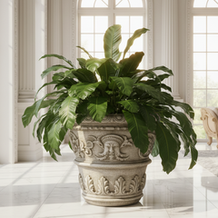 Large potted plant in an ornate pot on a marble floor with large windows in the background