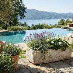Outdoor setting with a pool, plants, and a view of mountains and water.