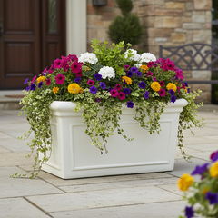 White planter box with colorful flowers on a patio