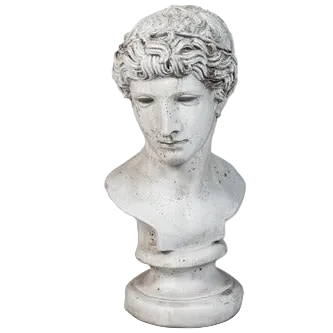 Statue bust of a classical figure on a white background