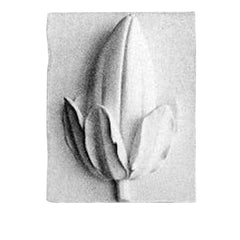 Pod Plaque  Wall Decor - XoticBrands Home Decor